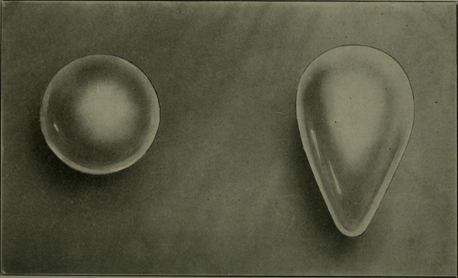 A round pearl beside a pear-shaped pearl on a display card, the kind of pearl at the center of Steinbeck's The Pearl and this AP Lit literary argument essay